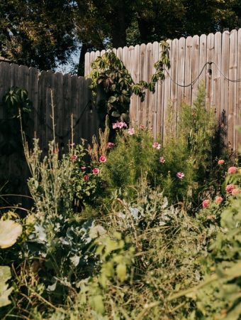 pollinator-friendly fall garden