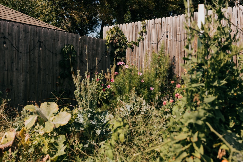 pollinator-friendly fall garden