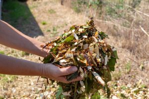 free garden materials