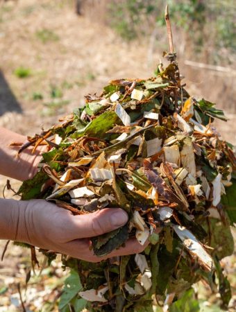 That Expensive Bagged Mulch May Be Sitting in Your Yard for Free