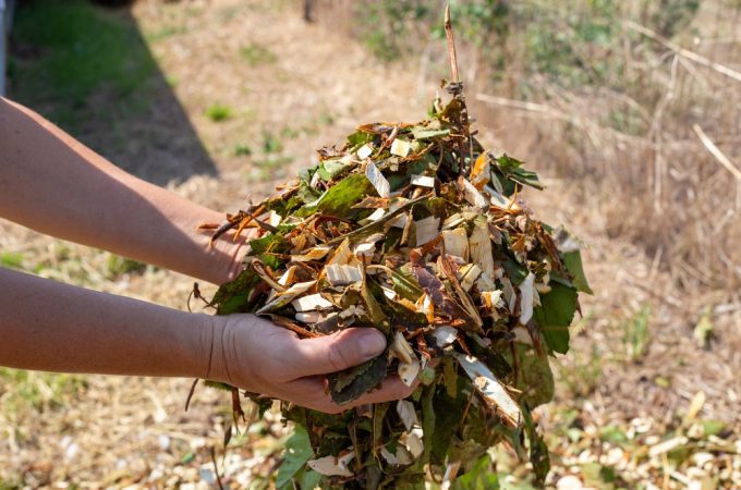 That Expensive Bagged Mulch May Be Sitting in Your Yard for Free