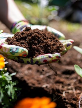 Don’t Compost These 7 Plants When You Clean Out the Garden This Fall