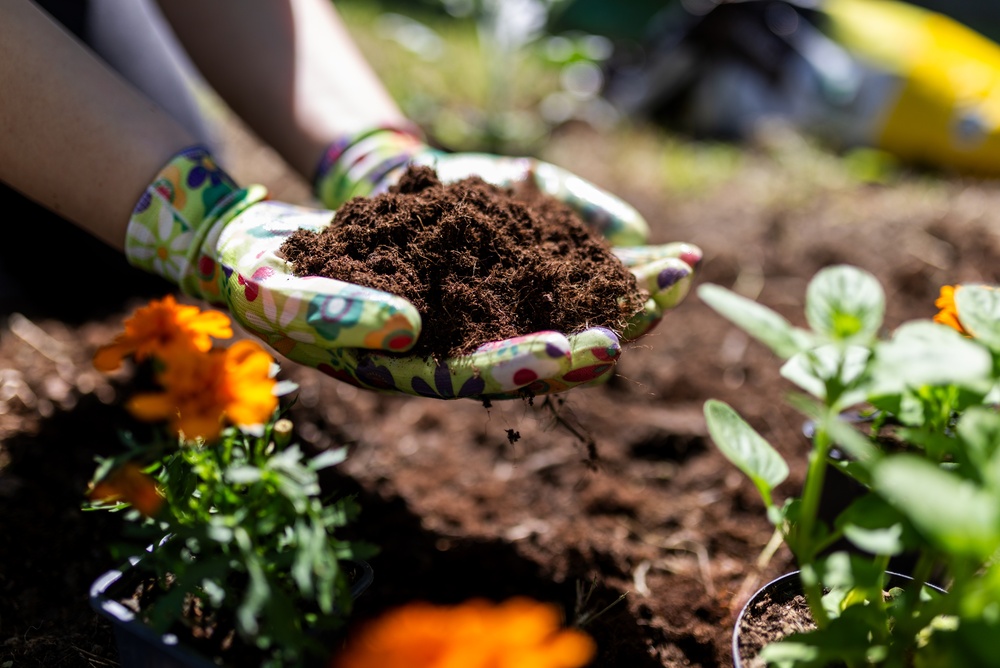Don’t Compost These 7 Plants When You Clean Out the Garden This Fall