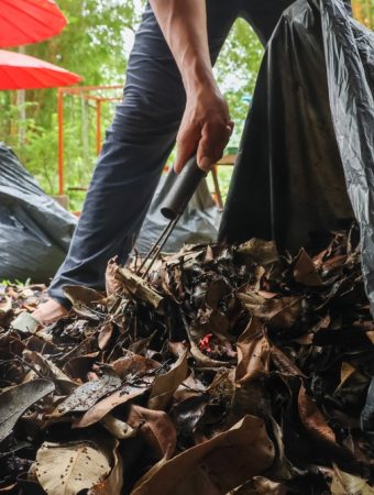 9 Things Gardeners Should Never Throw Away at the End of Summer