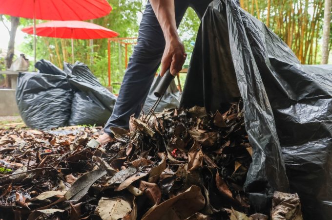 9 Things Gardeners Should Never Throw Away at the End of Summer