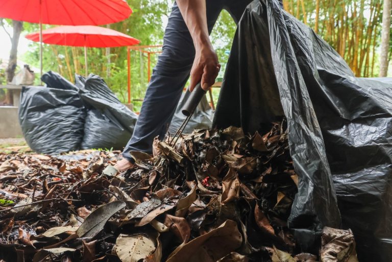 9 Things Gardeners Should Never Throw Away at the End of Summer