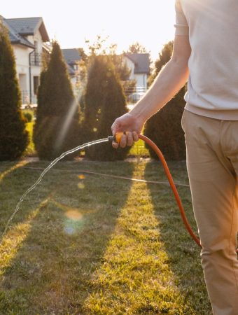 HOA drought rules