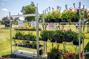 Garden Centers Are Starting to Clear Shelves, but Not Every Discount Is Worth It