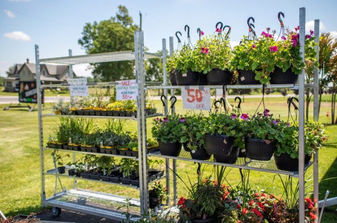 Garden Centers Are Starting to Clear Shelves, but Not Every Discount Is Worth It