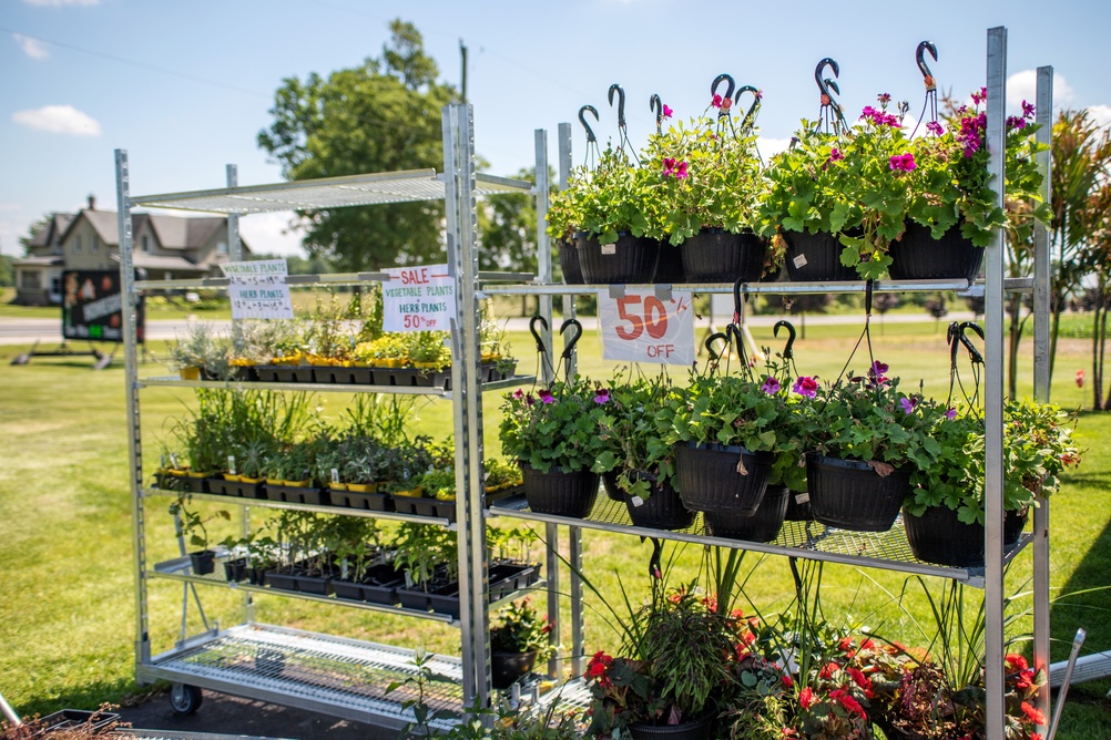 Garden Centers Are Starting to Clear Shelves, but Not Every Discount Is Worth It