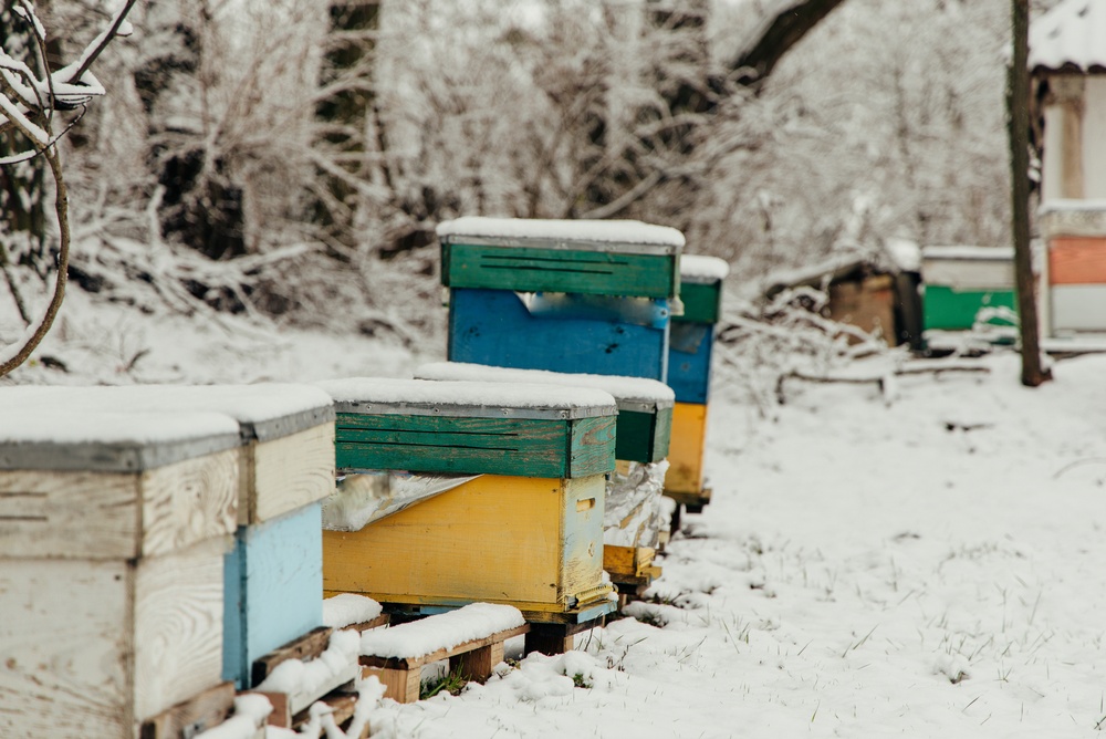 winter habitat for bees