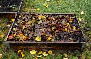 free leaf mulch