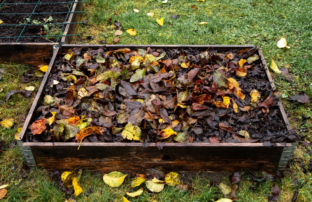 free leaf mulch