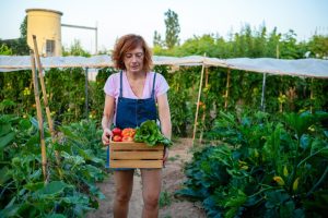 free garden hacks