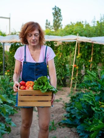 free garden hacks