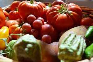 cost of homegrown tomatoes