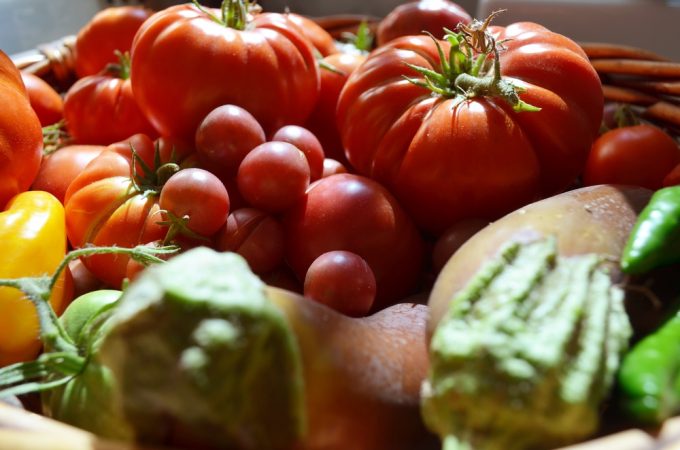 cost of homegrown tomatoes