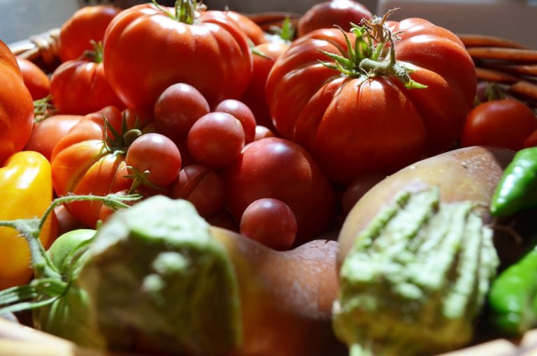 cost of homegrown tomatoes