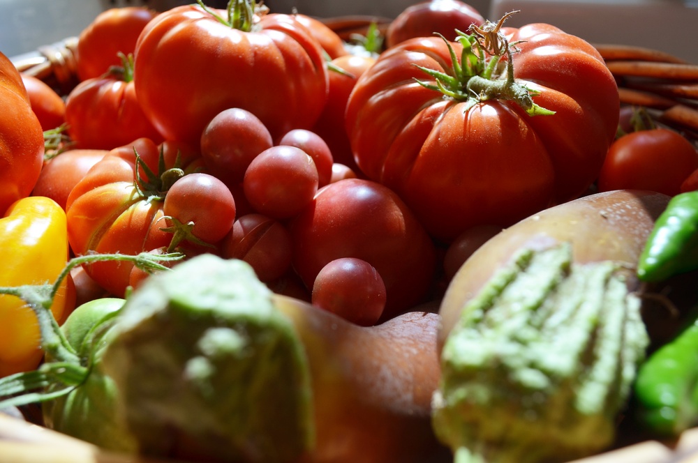 cost of homegrown tomatoes