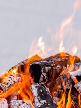 safe firewood movement