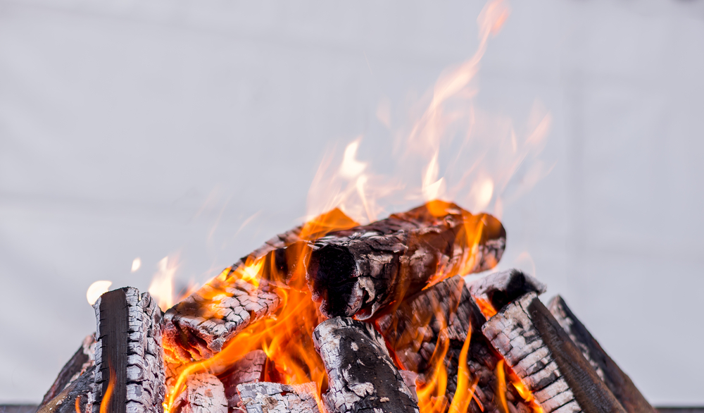safe firewood movement