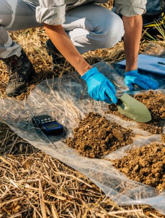 fall soil testing