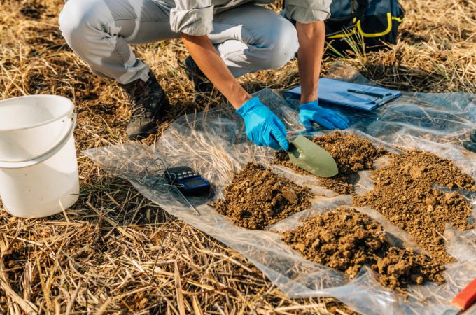 fall soil testing