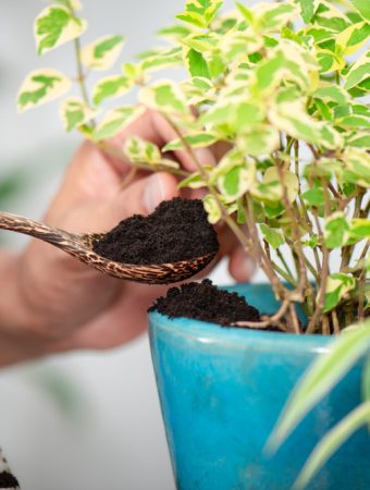 Viral gardening hacks