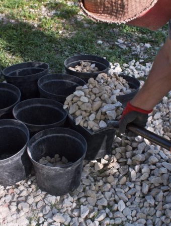 adding gravel to flowerpots