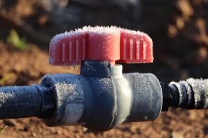 winterizing drip irrigation