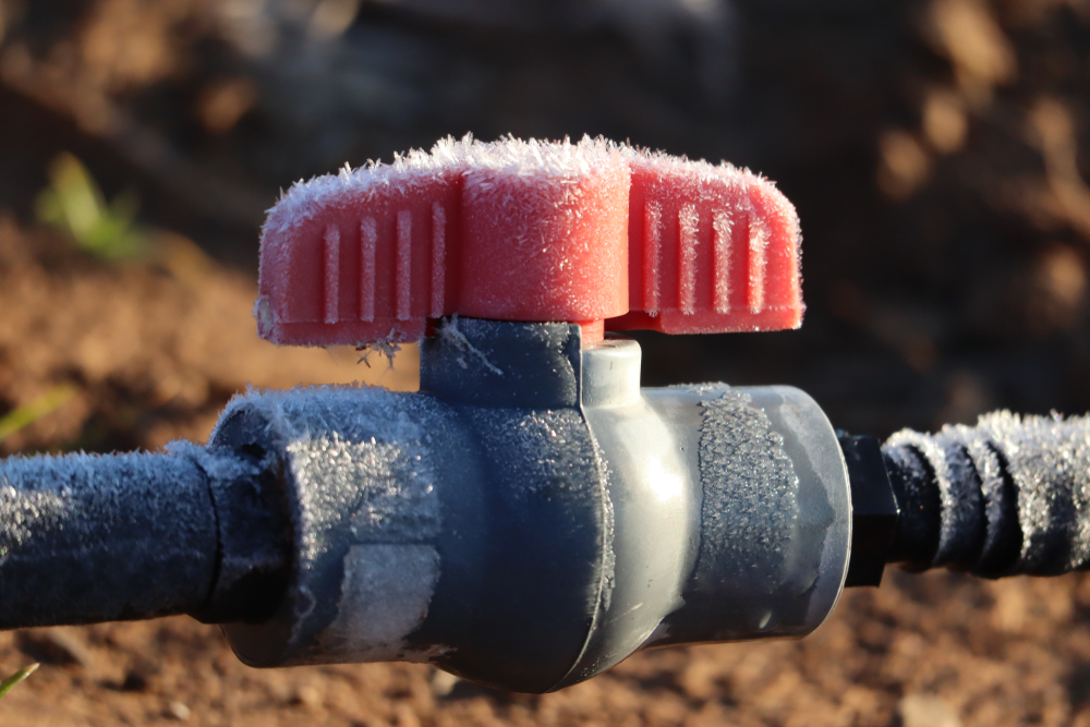 winterizing drip irrigation
