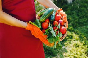 Vegetables worth growing to save money