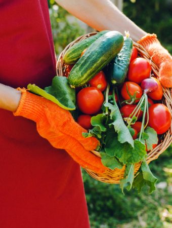 Vegetables worth growing to save money