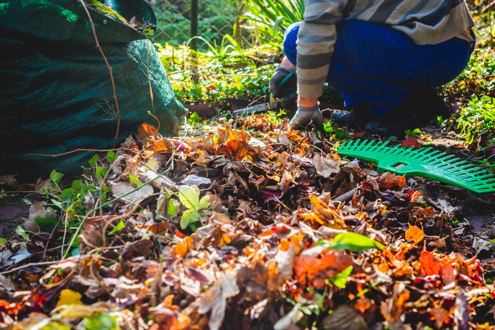 wildlife-friendly fall garden cleanup