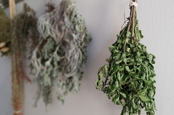 How to dry garden herbs