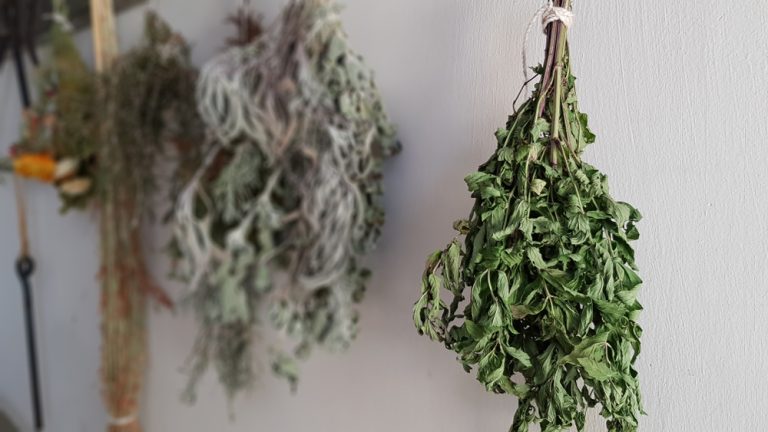 How to dry garden herbs