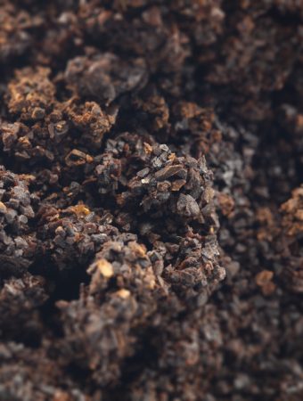 Coffee ground soil caused by jumping worms