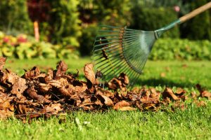 October lawn care