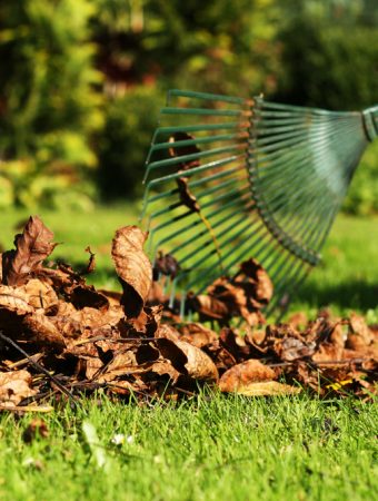 October lawn care