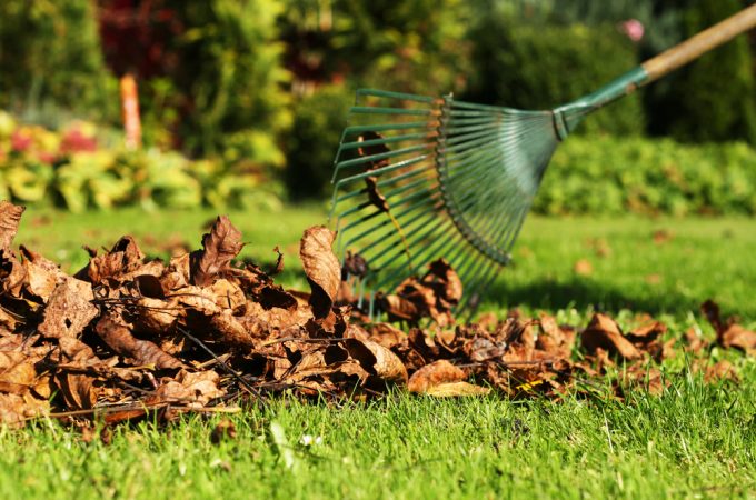 October lawn care