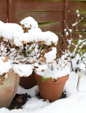 winter pot storage