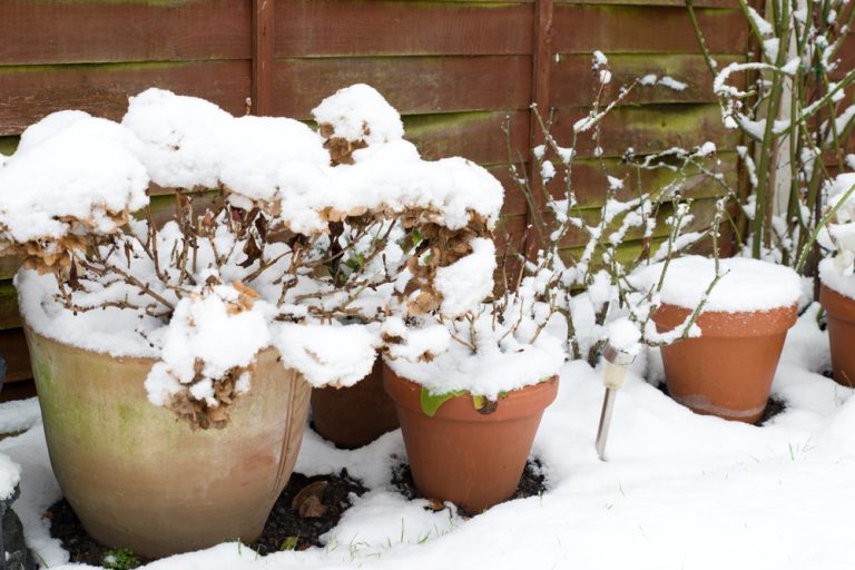 winter pot storage
