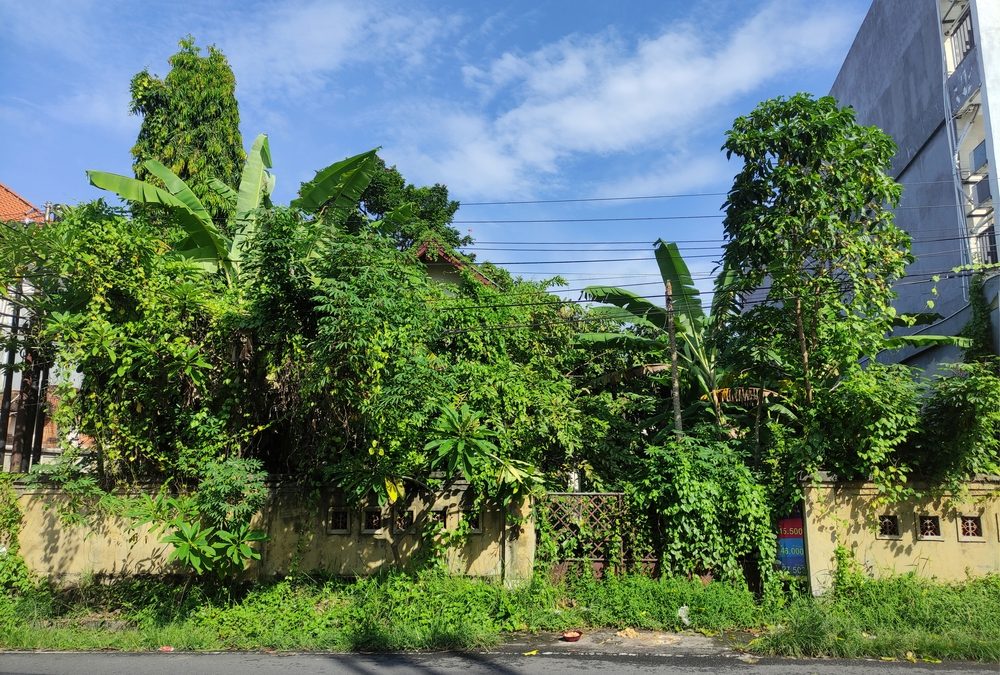 Planting near your home's foundation