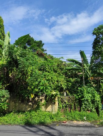 Planting near your home's foundation