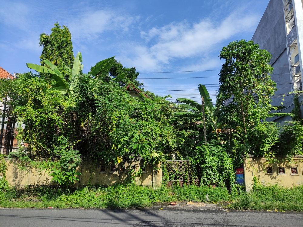 Planting near your home's foundation