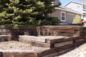 landscaping mistakes that cost homeowners money