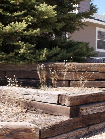 landscaping mistakes that cost homeowners money