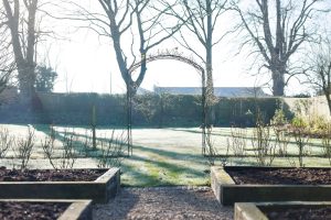 cold-weather raised beds