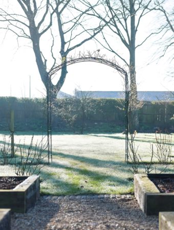 cold-weather raised beds