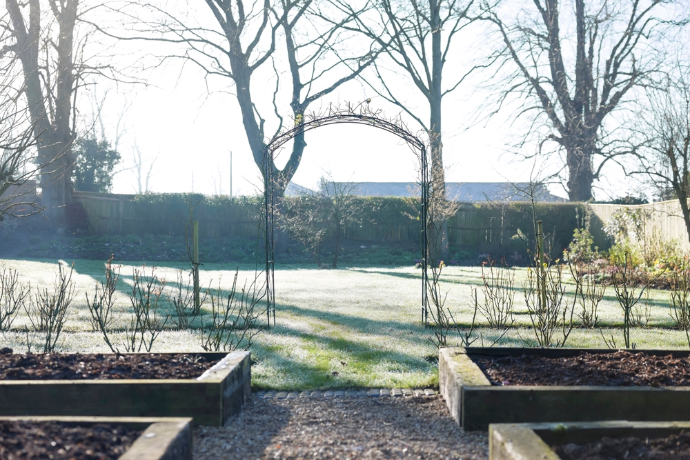 cold-weather raised beds